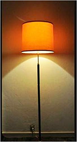 Floor Lamp with Fabric Shade