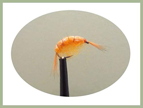 6 Pack of Barbless Shrimps Flies, Orange shrimps, choice of sizes, Trout Flies (Mixed)