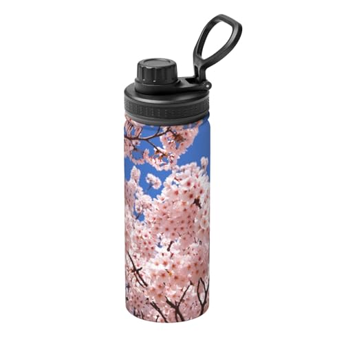   sN̉ ԕ XeX{g @r 500ml  ۗۉ ^fM X|[c{g e nht ^ Rh~  oR AEghA ʋ ʊw