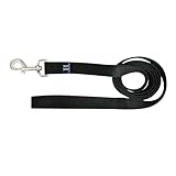 Hamilton Single Thick Deluxe Nylon Dog Leash with Swivel Snap, 5/8
