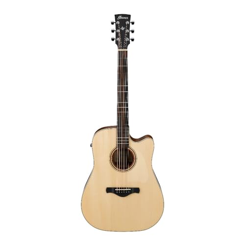 Ibanez AWFS300CE AR[XeBbNGLM^[ - I[v|A Z~OX