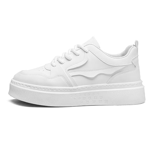 [XCGFJHKKP] Xj[J[ Y fB[X K   X|[cV[Y JWA C EH[LOV[Y ^C ʋC ~ d y lC ʋ ʊw 풅p  (zCg, l, 26.0 cm, l, {