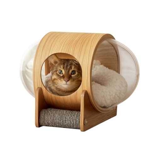 FouytuiFD LnEX ybgpxbh h[ uΉ LbgnEX Ƌ Lbgxbh ؐ LnEX Lp ybg JvZ^ lRnEX ؐ IV lGʗp  ʂ݃pbht (؂̐F)