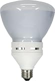 GE Lighting 90814 Energy Smart Bright from the Start CFL 26-watt, 1250-lumen R40 Indoor Flood Light Bulb with Medium Base