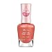 Sally Hansen Color Therapy Nail Polish, Soak at Sunset, 0.5 Fluid Ounce