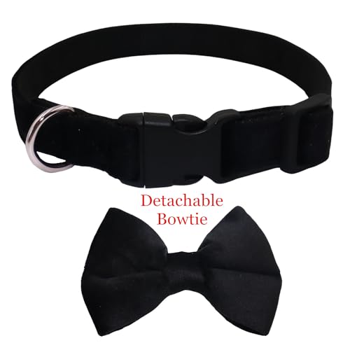 Collar para perro mediano con moño y hebilla rápida miniatura 4
