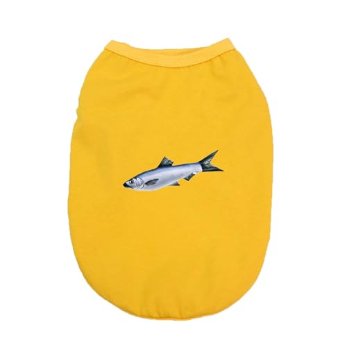 ZSDGBZ  ėp ⊴ TVc L ^  ʋC CG[  ΍ p^Ngbv t Ă΍ 畆ی X|[cEFA JWA Lk  o U