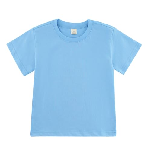 GLEAMING GRAIN Toddler Baby Boy Girl Short Sleeve Crew Neck T Shirt Pullover Kids Loose Short Sleeve for 2-8 Years Blue