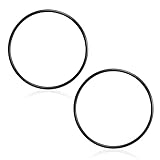 354533 カバーOリング Pentair Sta-Rite ダイナモ/シーホースプールポンプ用 (2個)