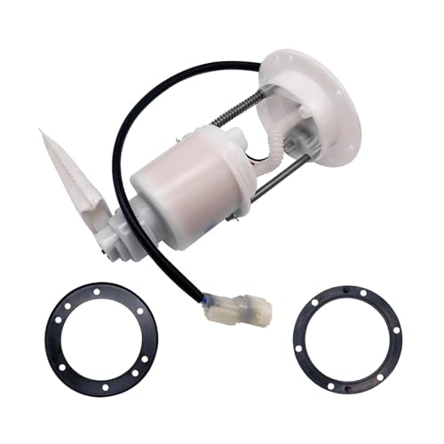 Pompe à carburant haute durabilité pour moteurs 500 600 625