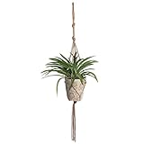★【Llavero 】En la posición de la cuerda se encuentra un llavero para colgar el gancho en el techo, balcón, ventana, estante de hierro, etc., para decorar bien tu salón o tu jardín.