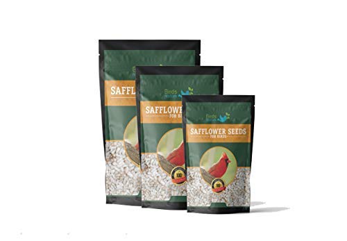 BirdsNature Premium Safflower Seeds/Kusum Beej/Kardi Seed for Exotic Birds (1000g) (B07YYHMMW2) Amazon Price History, Amazon Price Tracker