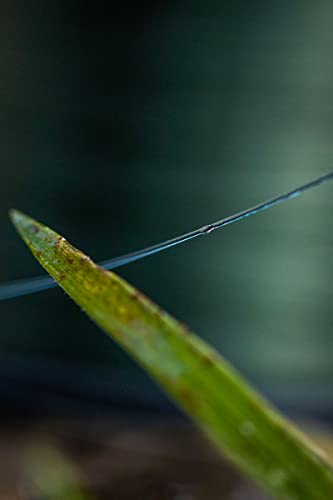 FOX EOS Carp Mono Schnur - 1000m monofile Karpfenschnur, Angelschnur zum Karpfenangeln, Monoschnur, Durchmesser… – Bild 4