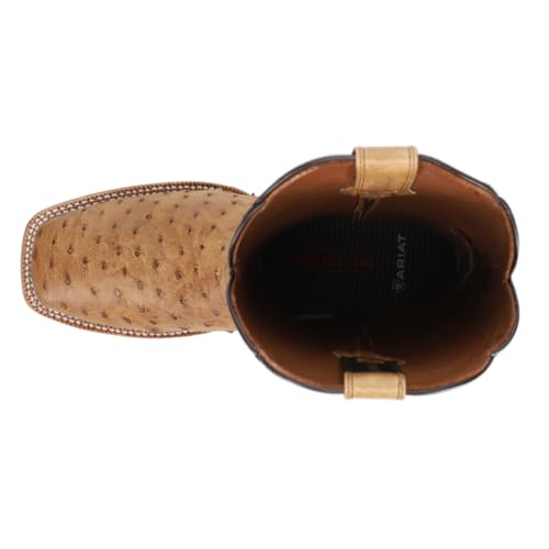 Ariat Men's 12" Brown Rio Full Quill Ostrich Square Toe Western Boots4