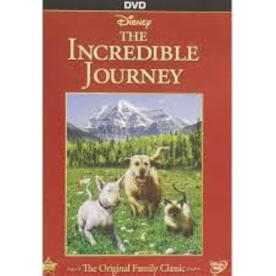 その他 Incredible Human Journey [DVD] Amazon.com: Incredible Human Journey (DVD) : Various
