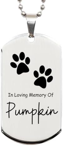 Pumpkin Silver Dog Tag Remembrance Gifts for Men Women Teens - in...