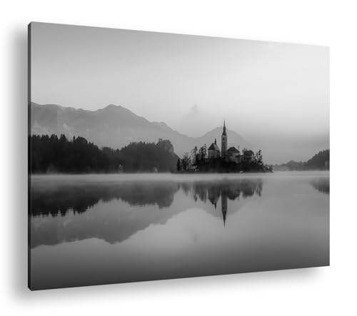 Tableau deyoli îlot au bord de mer effet noir et blanc nostalgique