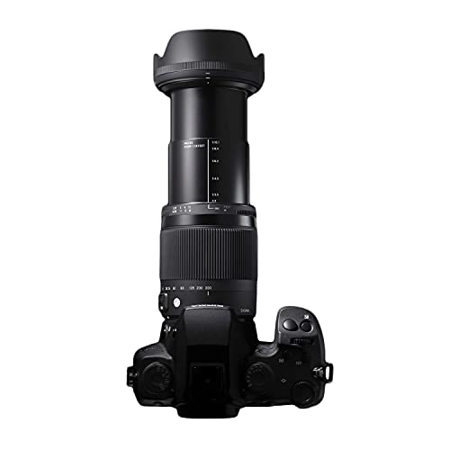 Sigma 886955 - Objetivo para cámara 18-300 mm F3.5-6.3 DC Macro OS HSM (C) para Nikon