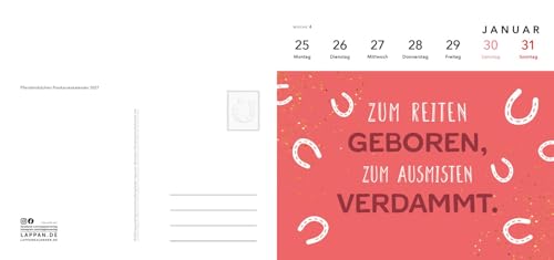 Pferdemädchen 2027 - Zum Reiten geboren, zum Ausmisten verdammt.: 53 abtrennbare und gut beschreibbare Postkarten | Tischkalender mit lustigen Sprüchen für Pferdefans – vue 7