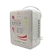 Beduan 110V to 220V Step Up Converter Voltage Power Transformer for 220V Chinese Electronics