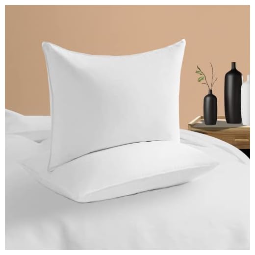 Pinzon Premium White Goose Feather and Down Filled Pillow Set of 2 King Size