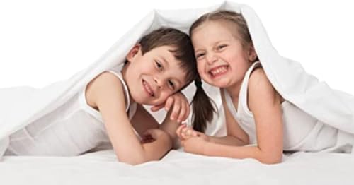 Image of Flat BedSheet with 2 Pillow Covers 600 TC 100% Egyptian Cotton Bedsheet Comfortable & Durable Hotel Quality Sheet (Double 90x100, Navy Blue)