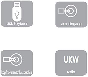 Icons representing USB Playback, AUX input, Headphone jack, and FM radio.