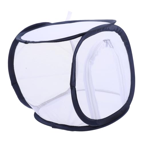 ERINGOGO ܂肽ݎbVP[X ^Wbp[JŊȒPeiX o^tC r[P[W | ώ@p gѕ֗