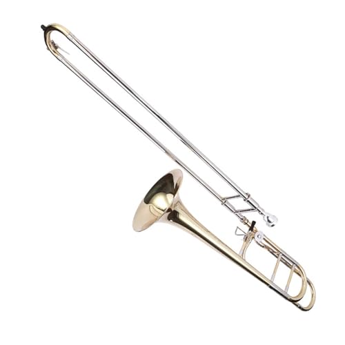 �g�����{�[���y�� �v���t�F�b�V���i���g�����{�[���e�i�[B�t���b�g���Ǌy��