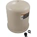 Pentair 197137 Lid Replacement SM and SMBW 4000 Series 4060 Pool/Spa D.E. Filter