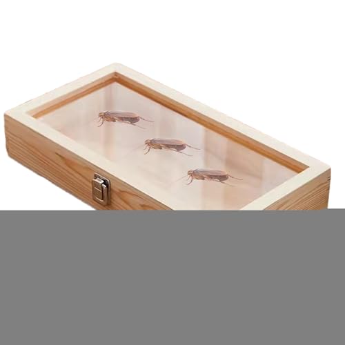 De Muestras De Madera | Pantalla De Insectos Caso Sombra | Visualización de Organizador De Joyería De Madera | Organizador Colección Keepsake Collector De Almacenamiento Con Tapa