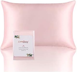 LOOMBERRY 22 Momme 100% Natural Pure Mulberry Silk Pillowcase for Hair and Skin (1 Piece) Both Sides 22 Momme Highest Grade 6A with Hidden Zipper Naturally Hypoallergenic (Silver Grey, Queen 50x76CM)
