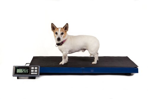 Veterinary Scale LCVS180K -- 180KG x 0.05KG Large Lightweight Vet Scale with "Hold" function.