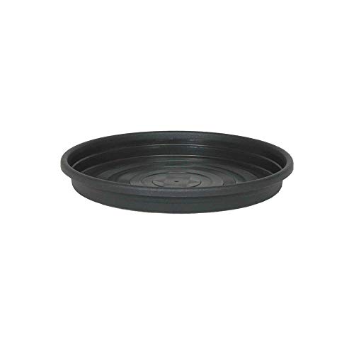 Prato Desli Para Vasos Preto - Tamanho 5