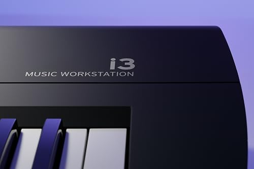Professional Keyboard Workstation Synthesizer