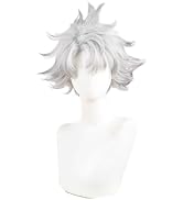 Amazon.co.jp: 一ノ瀬四季 いちのせしき コスプレウィッグ かつら 耐熱