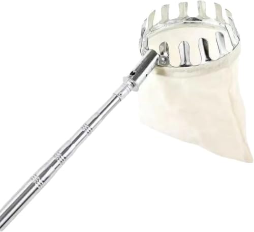 Fegson ʕ ԉʕ荂}Lkʎpt[csbJ[ʕn }p|[ƃoXPbgtt[csbJ[ ʕLb`[ ʎpi蓮ʕE݋@ Lkbh E݋@ yʎnp|HʕE݉ʎ̎AlĜ|[Aԍ