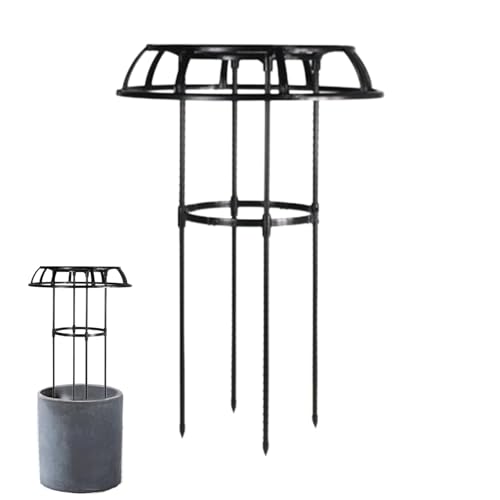 Bvizyelck ÔApgXAÕogX | Yx[gXAP^̃[YubVgX | w̍AT|[gAԂp̎K[fvgP[W