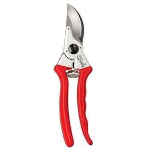 Corona Clipper Company BP 4250 Forged Steel Blade Lightweight Aluminum Handles Bypass Hand Pruner-1 Inch Cut Capacity Stem and Branch Garden Shears, 1, Red