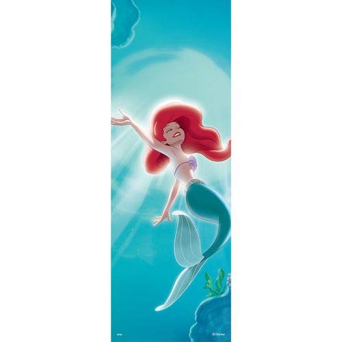 Amazon | アサヒペン ディズニープリンセス壁紙 リトル