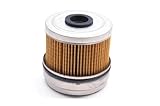 RHYTHM TESTAMENT for Hastings LF396, LF-396 Oil Filter
