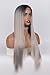 EEWIGS Ombre Grey Silky Straight 13×4 Lace Front Wig Heat Resistant Long Straight Synthetic Hair Wigs with natural hairline For Women 24 Inch