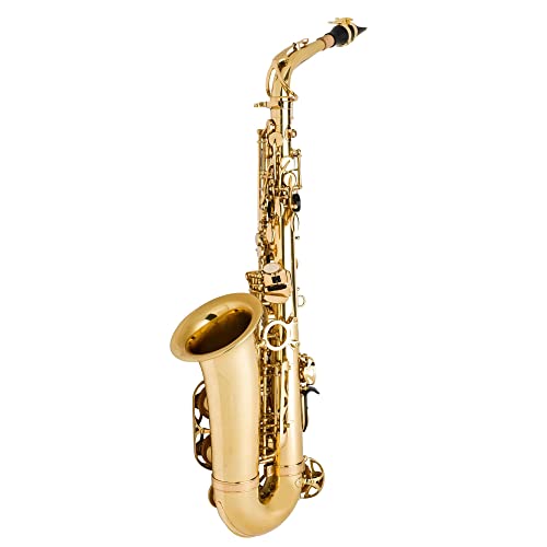jean paul as-400 alto saxophone - golden brass lacquered