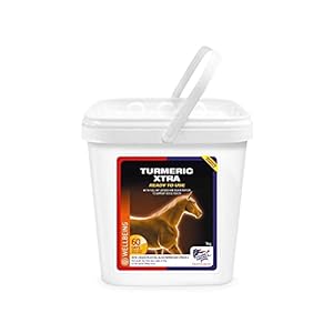Equine America Turmeric Xtra | Premium Ready To Use Horse & Pony Supplement | Support For Joints & Mobility | 3 Kg