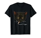 Funny Smoking Cat Meme