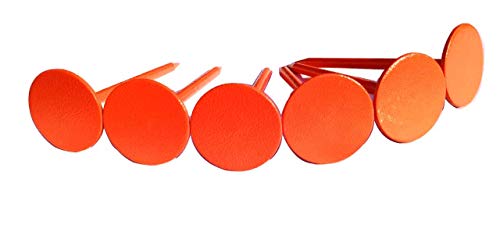 Advance.Man Survey Marker Survey Stake Land Marker Survey Stake(6 Pack in Orange Color)