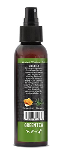 RELIQ-Aroma-SPA-Green-Tea-Botanical-Mist-cologne-for-Dogs-and-Cats-Spray-on-the-coat-after-bath-to-give-your-dog-a-clean-fresh-smell-Infused-with-natural-extracts-calming-and-comforting-dog-cat RELIQ Aroma SPA Green Tea Botanical Mist cologne for Dogs and Cats Spray on the coat after bath to give your dog a clean fresh smell Infused with natural extracts calming and comforting dog cat