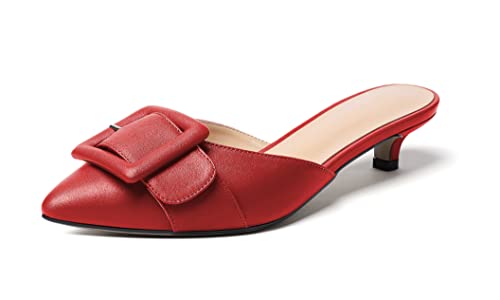 Eldof Women's Low Heel Mules, Pointed Toe Slip On Kitten