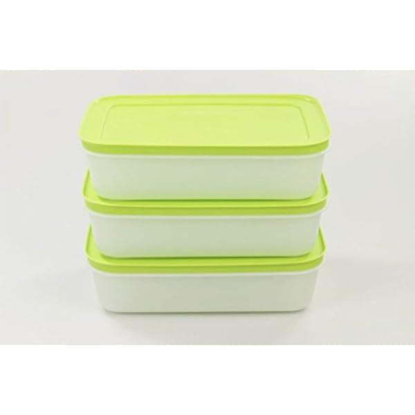 TUPPERWARE Vriesbak (3) ijskristal ijskristal 1,0 L groen-wit plat 29739
