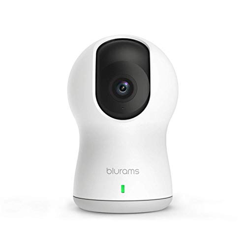 Blurams Dome Pro 1080p FHD Cámara de Vigilancia en Domo para el Hogar-WiFi Mic.Alt Detección Inteligente Personas/Animales/Sonidos Alertas Tiempo Real Visión Panorámica - Modo Crucero (iOS Android) Cover